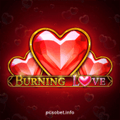Burning Love